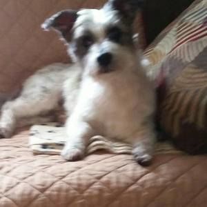 Meet your Posher, Lois